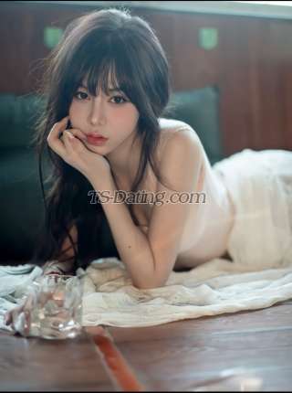 trans girl sheningtutan 9427803 trans girl sheningtutan 9427803