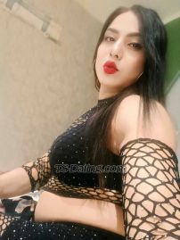 shewta jaan Agra Transex Hi I'm versatile shemale Shweta avelable now,have soft Big boobs 32 n big monster 8 inch clean soft body ???? I'm genuine so I expect only genuine person message me, dp pic 100% real....
All type service i do, full body massage, oil massage, cream massage,
Full body to body play, smooching, romance, role play Love in bed, girlfriend experience bhabhi experience teacher experience
69,anal, soft domination all anyone interested s****** lover direct message my WhatsApp
I have safe place,

Fixed price no negotiable...
Online cam sex available.....