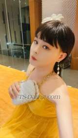 shiwanti Beijing Transex 