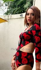 shofia nicole Kuala Lumpur Transex ....dear call me SHOFIA NICOLE
Im freelance model 
I'm ladyboy 
Come kl just one week

 
Good looking 
Good attitude 
Friendly 
Enjoy with sex not rushing finist until u and me cum. 
Perfect dick hard no hormones 
I know you still looking and hungry for the sex satisfaction that you never had before... 
Here your dreams and fantasies will come true. Your Queen feminine dominance comes with the best of both worlds: classy, clean, healthy, versatile top and bottom with beautiful big long and thick cock (7.5inch) ready to rock you... we can do wht u fetish 

Being smart, delightful, open minded, understanding what you need to achieve your unforgettable sexual experience is my priority...



MY SERVICES 
# Kissing 
# Blow job 69
#Top dick 7.5inci hard cum alot 
(no hormones)
# Rimming 
# Bottom 
# Hangout go dinner drink bar club room
# Bed romance ( Girlfriend Experience )

# Kinky 
# Fetish 
# Bdsm
# Bondage 
# Sex toys
# Sex party 3some
#gangbang 

( FUll services good price $$$)
No real picture and dick not pay
I dont like drama bla bla..bla

I look forward to getting you in front of me on your knees!!
WhatsApp : +60149056843
WeChat : sdjsharaya 
Instagram: sdjsharaya 


One last thing what I really want to say, you will never ever forget my name after meeting me ' NICOLE '
Area bukit bintang
Available incall and out call
