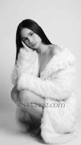 trans girl sofiacoxs 6749051 trans girl sofiacoxs 6749051