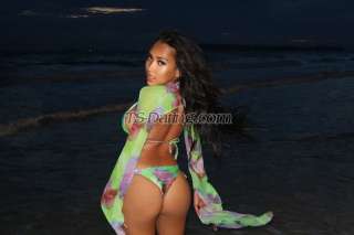 trans girl sofiefox 8397668 trans girl sofiefox 8397668