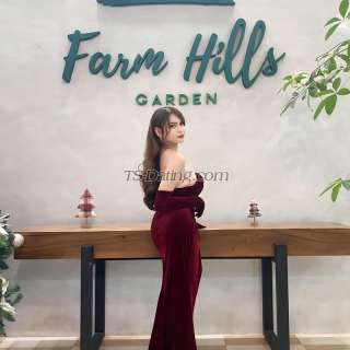 trans girl stefanidyosa 2634139 trans girl stefanidyosa 2634139