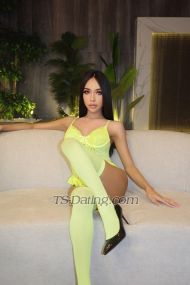 suthida888 Riyadh Transex 🥰IG: ooy__2000 Ciao, mi chiamo Minnie dalla Tailandia 🇹🇭, sono un ladyboy big🍑ass🍑hot Dick 🍆 con grandi tette sexy, un sacco di CUM 💦, nuovo a Phuket Patong incontriamoci e divertiamoci insieme Può essere Top e Bottom come fare 69, amare succhiare e baciare. Adoro darti il mio grande 💦💦💦💦 Sono un buon ragazzo in cerca di servizio, soggiorno a Hong Kong. vieni a goderti 💋✨💦 il mio servizio🍑🍑🍑🍑 🍑Fanculo 🍑Leccarsi 🍑Bacio 🍑Rim Fanculo 3 uomini con ragazze Fanculo più forte e vieni nella mia bocca Dea dominante Cazzo duro e sexy 🍆 Fai qualcosa di buono, abbi cura di te e massaggialo Se mi interessa contattatemi Benvenuti anche al bere e alle feste 🍺🍻🥂🍷🥃🍸🍹🍾🧉 Posso servire donne ed entrambi gli uomini e posso fare qualsiasi cosa, posso fare sesso con una donna, lei è un uomo, sono in grado di farlo.