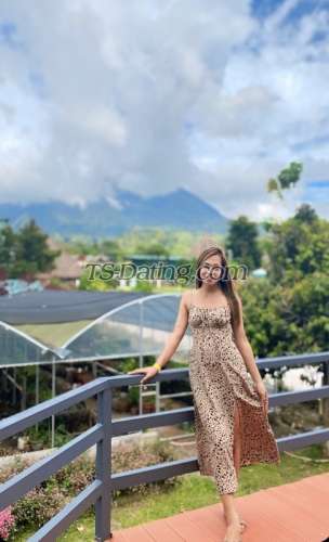 trans girl sweetdolly 3101045 trans girl sweetdolly 3101045