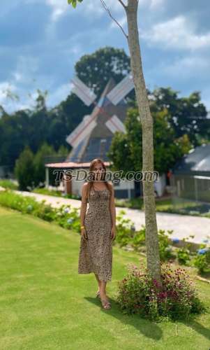 trans girl sweetdolly 8608326 trans girl sweetdolly 8608326