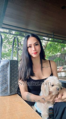 trans girl sweetricaxx 2193476 trans girl sweetricaxx 2193476