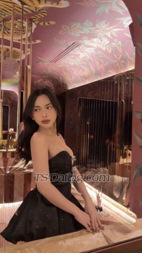 trans girl sylviana22 9000917 trans girl sylviana22 9000917