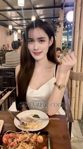 trans girl TA1160 8845157 trans girl TA1160 8845157