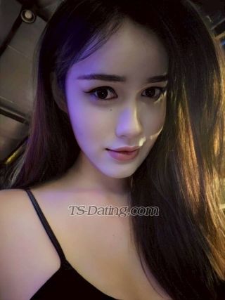trans girl TA1160 8845176 trans girl TA1160 8845176