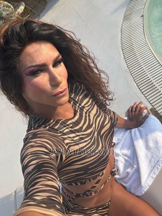 trans girl TARABIANCA 2506207 trans girl TARABIANCA 2506207