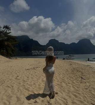 trans girl THICKcockTS 8132647 trans girl THICKcockTS 8132647