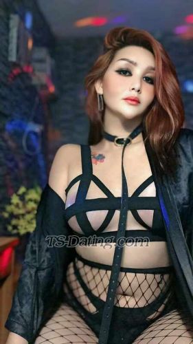 trans girl TRANSDOMINANT 3984379