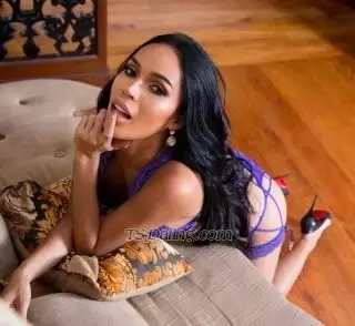 Shemale TS Amber 4865818 Shemale TS Amber 4865818