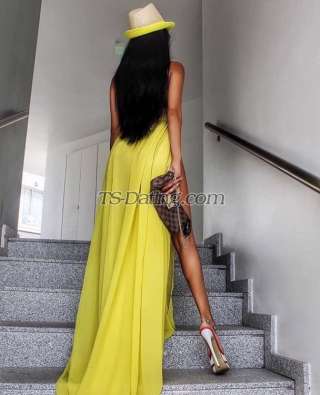 trans girl TS Amber 8168600 trans girl TS Amber 8168600