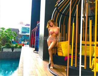 trans girl TS CLAUDIA 0907270