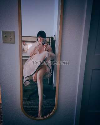 trans girl TS203 2355696 trans girl TS203 2355696