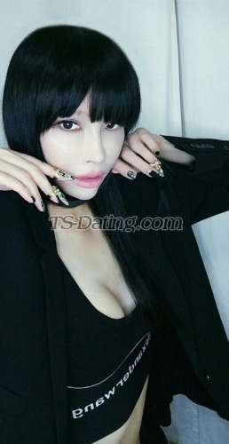 trans girl TS203 2356646 trans girl TS203 2356646