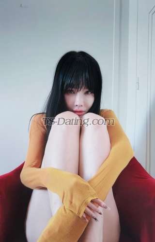 trans girl TS203 7633977 trans girl TS203 7633977