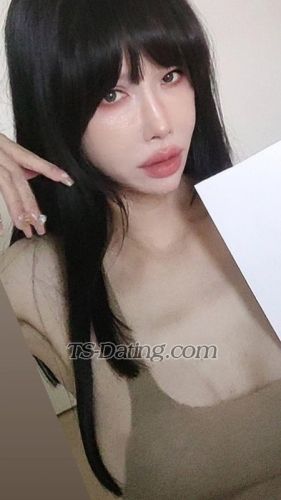 trans girl TS203 8112516 trans girl TS203 8112516