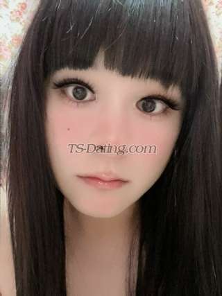 trans girl TS367 1331233