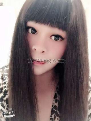 trans girl TS367 7034081