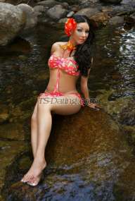 TS69KIMBERLY Drogheda Transex I HAVE TOO SEXCAM AND HOT CONTENT VIDEOS PRIVATE
PAYPAL

BANCOLOMBIA 
revolut 
Nequi
Bank
transfer
DAVIPLATA
Hello, good day all of you...
thank you very much for visiting my profile... my name is
TOPTS KIMBERLY VERSATIL... I am 36 years old and I come from
the country of beautiful Latin women COLOMBIA... I AM AN
AUTHENTIC TRANS Super active dominant and also passive... I
am tall and with a figure so you can enjoy every inch of my
body including the 18 centimeters of cock that I have...
always hard and very milky so you can enjoy a true bsexual
with an incredible woman's body and my toy always hard to
give you all the pleasure you deserve... give me the
pleasure of serving you and you will know what a good
transsexual experience is... I am an expert in beginners...
very professional... clean and educated with good treatment
and a pleasant experience... .. I am very accommodating to
everything you expect from your experience. since apart from
it being my job I also enjoy it since I am very fluid and
insatiable in sex, I am very ardent and nymphomaniac in bed
without taboos .. I like to kiss with tongue that we both
enjoy this encounter .. I do oral without a condom and deep
throat .. . I lick your balls and I also suck your ass very
deep since I like this a lot ......... if you have, any
intimate fantasy you can share it with me and I will surely
please you .... I am expert in beginners .... I have taken
the virginity of many boys ......... I am dominant I have
latex clothes and boots because I like to be dominant .... I
can also be submissive if that is what you want
....
also erotic games .. dildos ..... transformism
..... . makeup ...... groups and sex parties .....
thank
you very much for taking the time to know a little about me
I can assure you a wonderful experience and unforgettable
sex... kisses, I'll wait for you