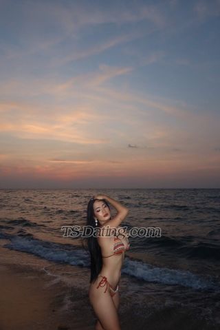 trans girl TSANNAFOX 1866454 trans girl TSANNAFOX 1866454