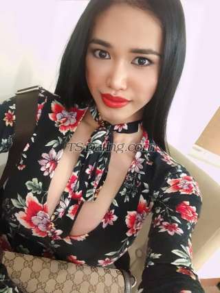 trans girl TSASIANYUMMY 9256271 trans girl TSASIANYUMMY 9256271