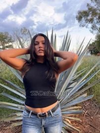 TS Ana Paulin Jalisco Transex Soy Una Linda Y Bronceada Chica Dispuesta A Cumplir Tus
Fantasías .Cuento Con 1,72 cm de altura . Ojos cafés
, un cuerpo delicioso y una piel suave y hermosa .Mis
tarifas no son negociables . $$$cuento con venta de
contenido muy caliente 🔥 Y videollamadas muy hot .
Llámame ! O envíame un mensaje directo de whatzapp Y te
brindaré más información sobre mis servicios.