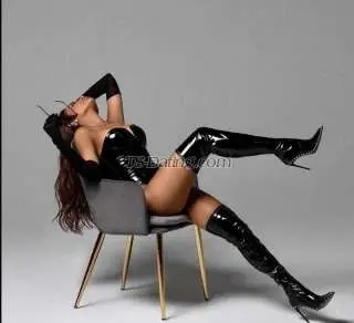 Shemale TSBoyToyLover 7366030 Shemale TSBoyToyLover 7366030