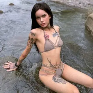 Shemale TSCLOUIE 2271973 Shemale TSCLOUIE 2271973