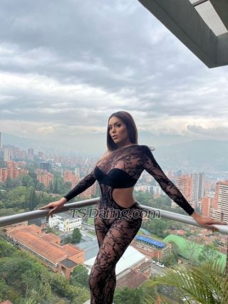 trans girl TSCarolinaD 5378359 trans girl TSCarolinaD 5378359