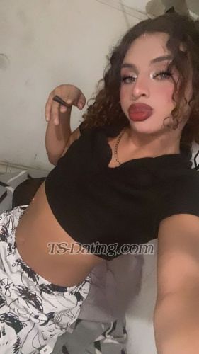 trans girl TSChinamor 4238222 trans girl TSChinamor 4238222