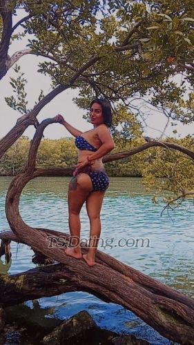 trans girl TSEvelynRub 6048070 trans girl TSEvelynRub 6048070