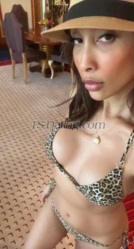 trans girl TSJamaicca 6572465 trans girl TSJamaicca 6572465