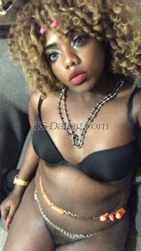 trans girl TSLAURA 6910050 trans girl TSLAURA 6910050