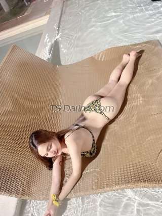 trans girl TSMaria 2404629 trans girl TSMaria 2404629