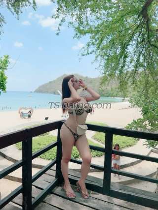 trans girl TSMaria 3540848 trans girl TSMaria 3540848