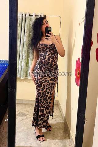 trans girl TSPari 7124823 trans girl TSPari 7124823