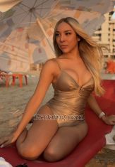 TSRaven Tel Aviv Transex Hello!About me: My name is Dayana and I
am 25 years old. I am a well-traveled person currently in
Israel to give you what you deserve. I am very passionate
about meeting people, getting to know you, and make your
fantasy become reality. I am a super charming-smart lady,
full of desirable qualities; just perfect to make you fall
in love with me (be careful, you’ve been warned). I
definitely look like my pictures and I have been constantly
updating my profile so you get to see the real me before you
decide to meet me. Why choose me? As
mentioned above, my pics are recent and updated. My looks
are unique because I am and Asian American which helped me
become a special doll. Because of my mixed ethnicity, I am
lucky enough to be 170cm (5’7) which makes my height just
perfect to be considered feminine, and stunning-like-a-model
at the same time. I must admit, my special genes helped me
land modeling and beauty queen stints in the past, and these
privileges are something I want you to enjoy while being
with me. My best assets are my eyes and my smile; they make
me extra charming. I can definitely get you excited in few
seconds when I start to stare at your face before I use my
sexy-full lips in kissing you. I am blessed to possess right
amount of voluptuousness and body curves that many women
envy.  I am a very hygienic person and I expect you to be
one as well. No mouth and body odor. I am always clean and
freshly-showered with seductive scent which will make you
can’t stop kissing, licking, and touching me. I
am a highly-educated person who finished my studies with
flying colors. My experience in the community development
work in some southeast asian countries helped me become a
well-informed person about various social issues. I am
someone who is gifted with communication skills and I am a
very “people person”. Because of these qualities, I can
talk with you about many topics, and I hope this is a bonus
to make you feel comfortable during your time with me.
The exciting part: Have you ever paid
for something/someone you want but ended up being
disappointed or dissatisfied? I have, and it’s the worst
feeling of all. This is why I will value your money and most
especially your time. I am a very open minded person and I
encourage you to speak freely about your fantasies and
fetishes so we can talk about them and make it reality. I
have a fully-functional 15.24 cm (6 inches) tasty cock that
I want you to enjoy. I am very passionate about making love
that I am so flexible (I can be active, passive, or both),
and my lips are perfectly crafted, not only for passionate
kissing, but also for sucking your tool. Did you
ever wish to have someone that is at the same wavelength
with your special sexual needs? I am so happy to inform you
that my presence is a blessing! Finally! The special ladyboy
that you deserve is here!  PS: Please message me
only if we are in the same place or you can meet me now. I
am currently not offering online services, so sex chats,
video-call sex, or ‘online chats only’ will not be
entertained. Talk is cheap. I am here for real meetups only.
Thank you and see you! WhatsApp:
‪+972 50‑229‑8649‬