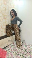 TSShilpa Delhi TS escort 