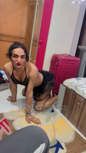 trans girl TSShilpa 2956888 trans girl TSShilpa 2956888