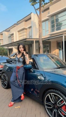 trans girl TSWIJAYA 6606145