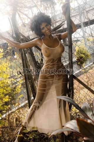 trans girl TSWandaSue 6012200 trans girl TSWandaSue 6012200