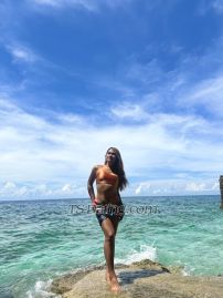 TSdhea14 Quezon City Transex i’m new here simple and innocent ☺️i’m
hard working person, love to travel and meet knew people
☺️ 