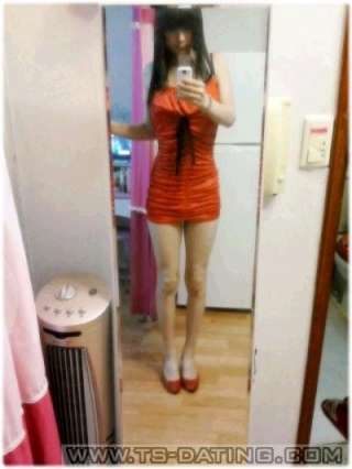 trans girl TSeve 2593608 trans girl TSeve 2593608