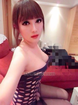 trans girl TSjolin 8038298 trans girl TSjolin 8038298