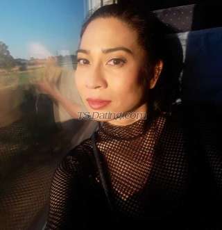 trans girl TSpim 5365113 trans girl TSpim 5365113