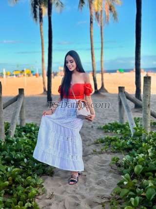 trans girl TSsexgodess 3542208 trans girl TSsexgodess 3542208